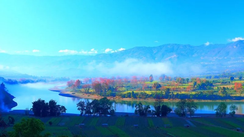 网站制作:保山当地品牌出海的秘密武器